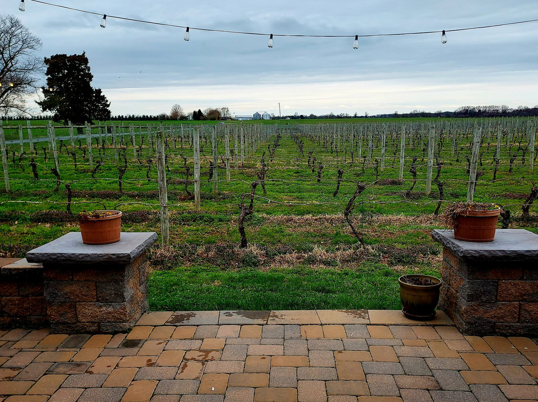 Crow Farm and Vineyard and Winery-Kennedyville必去景点