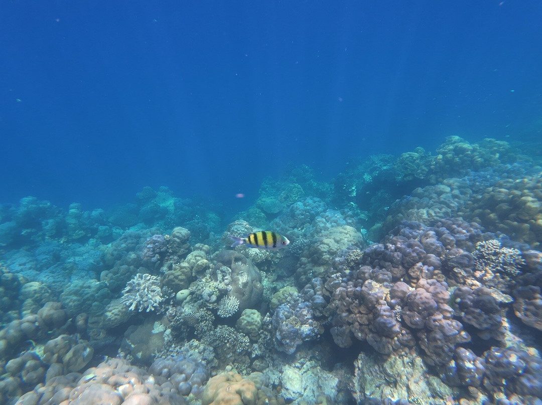 Go Travel Phuket-普吉岛必去景点