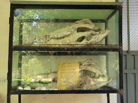 Danakil Depression Tours-亚的斯亚贝巴必去景点