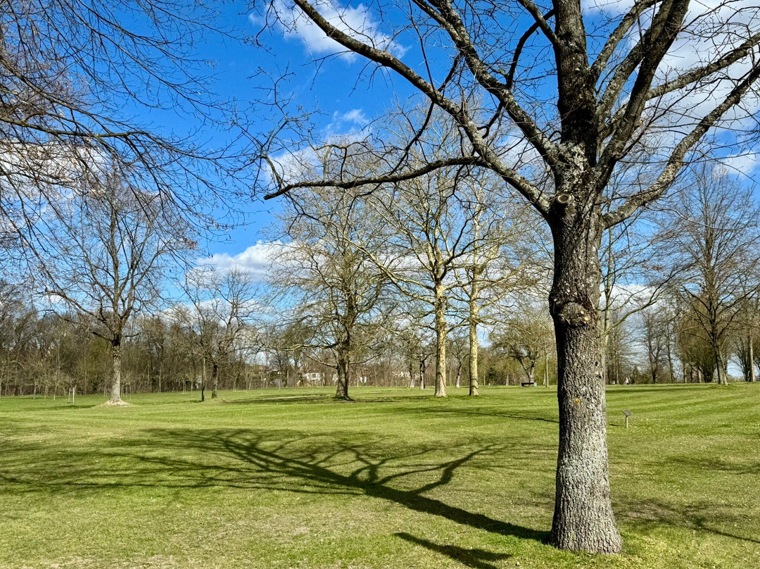 Furstengarten-Lauenburg an der Elbe必去景点