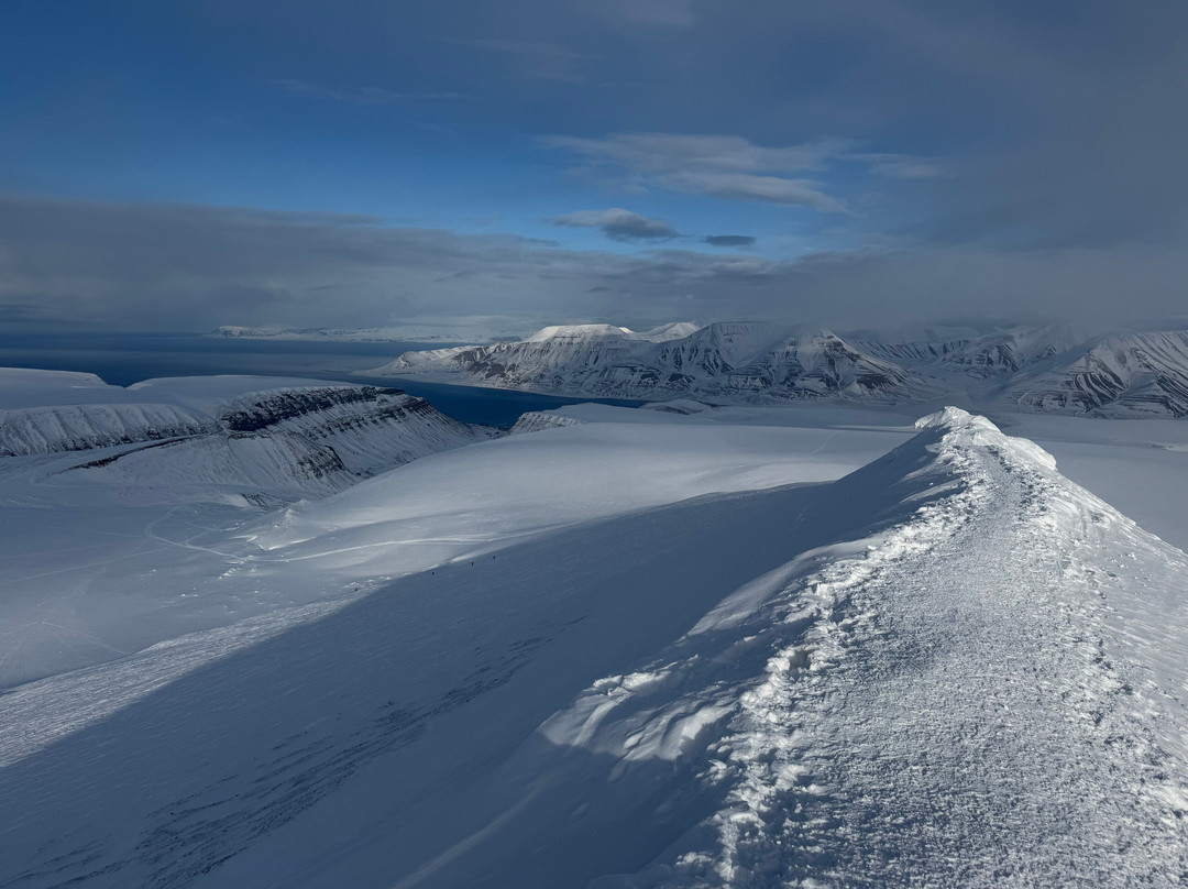 Svalbard Wildlife Expeditions-朗伊尔城必去景点