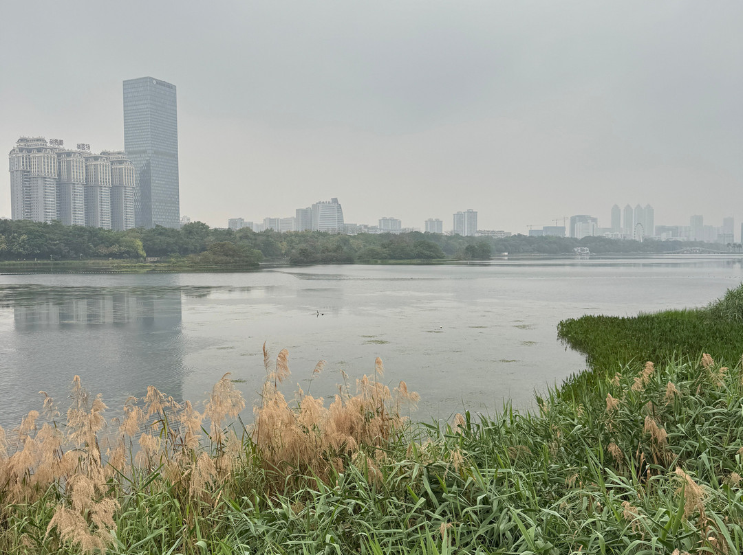 南湖-南宁市必去景点
