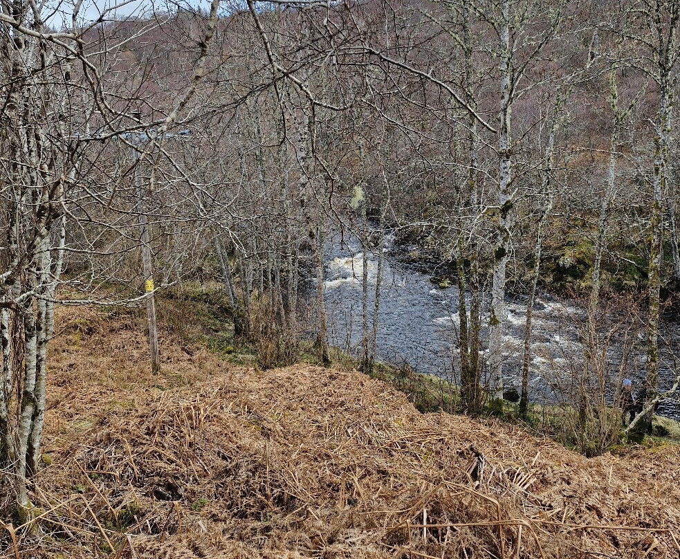 Falls of Shin-Lairg必去景点
