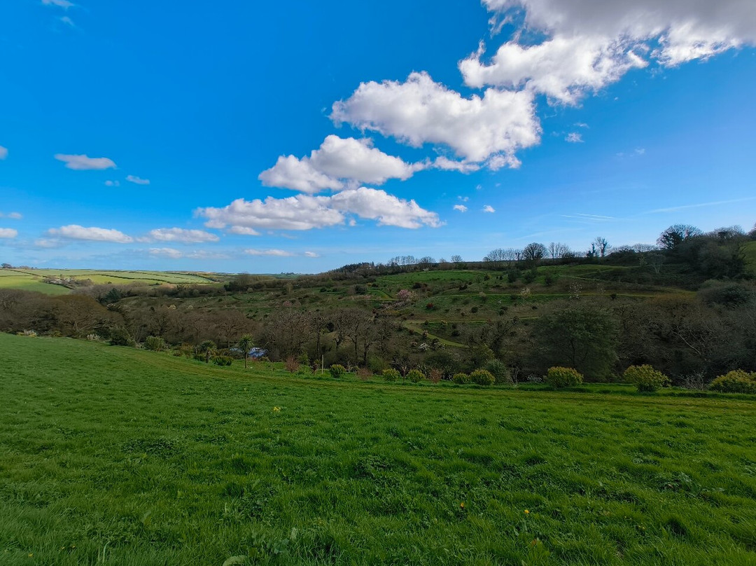 Fast Rabbit Farm Gardens-达特茅斯必去景点