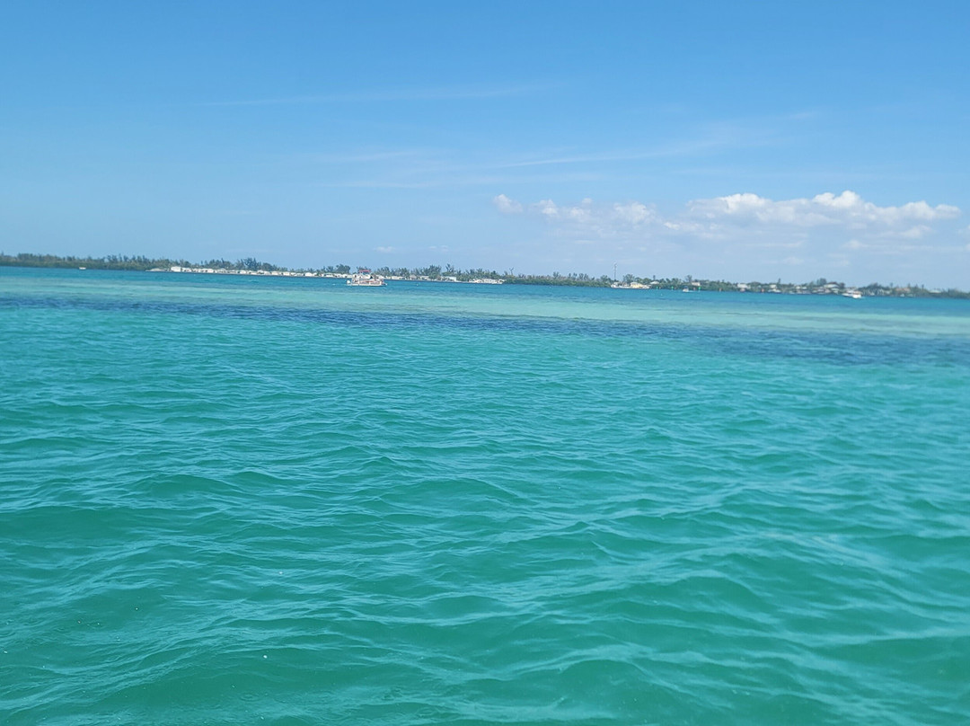 Island Boat Tours & Adventures-Bradenton Beach必去景点
