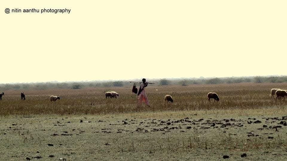 Chhari Dhandh-Kutch必去景点