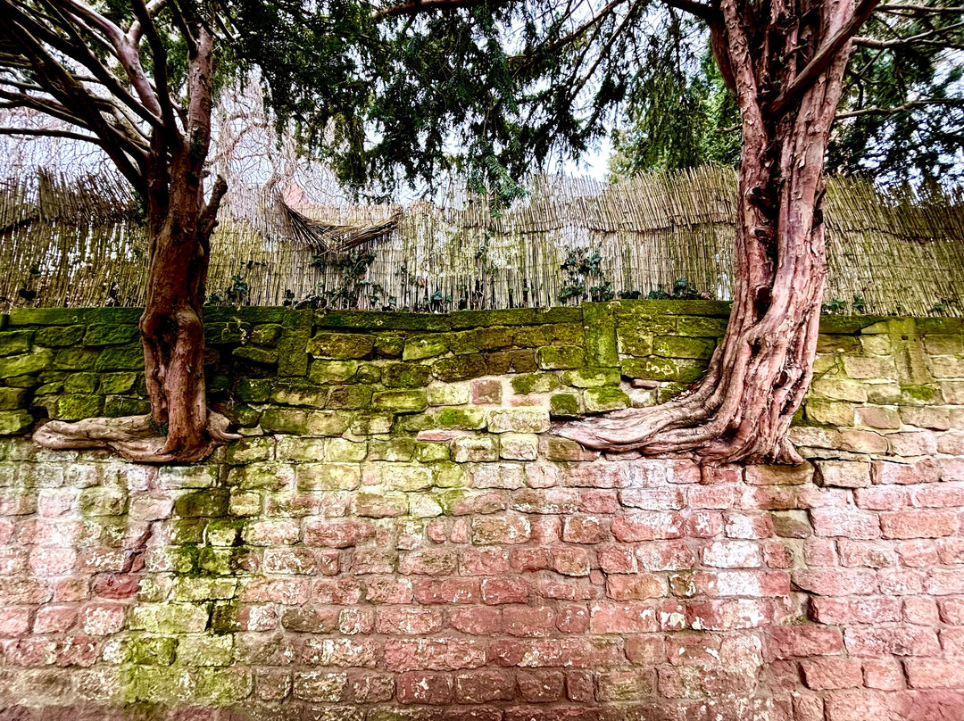 Japanischer Garten-凯撒斯劳滕必去景点