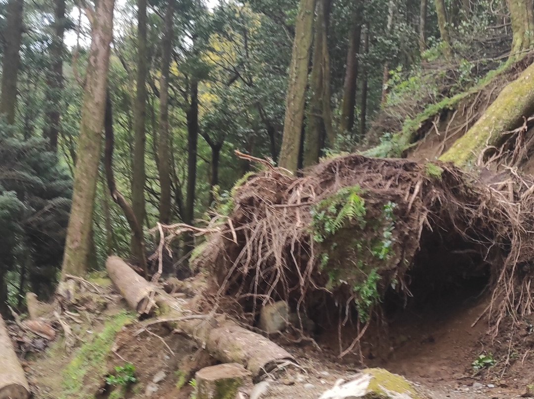 Lagoa Do Congro-Vila Franca do Campo必去景点