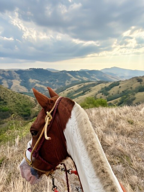 La Piedra Del Indio Waterfalls-Tilaran必去景点