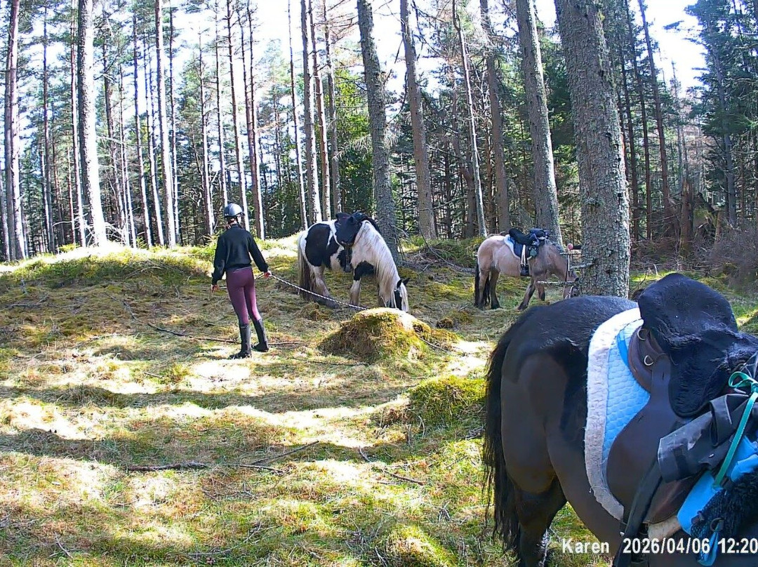 Highlands Unbridled Trail Riding & Trekking Centre-Aboyne必去景点