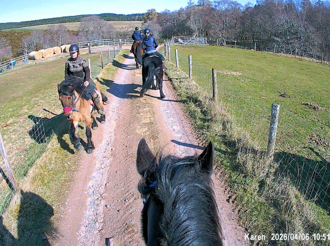 Highlands Unbridled Trail Riding & Trekking Centre-Aboyne必去景点