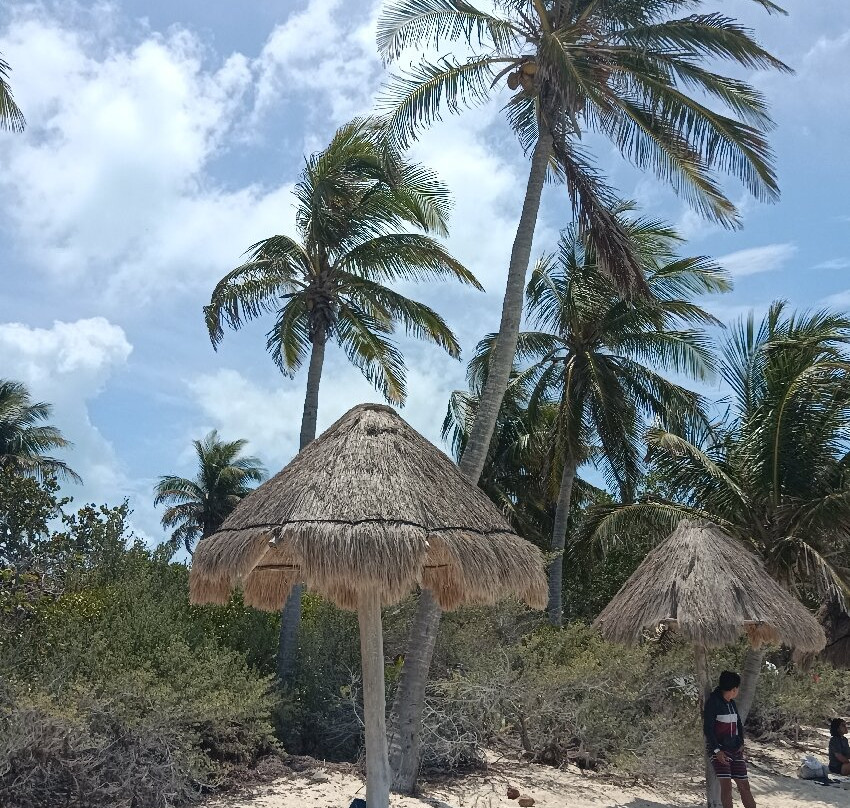 Isla Contoy National Park-Isla Contoy必去景点
