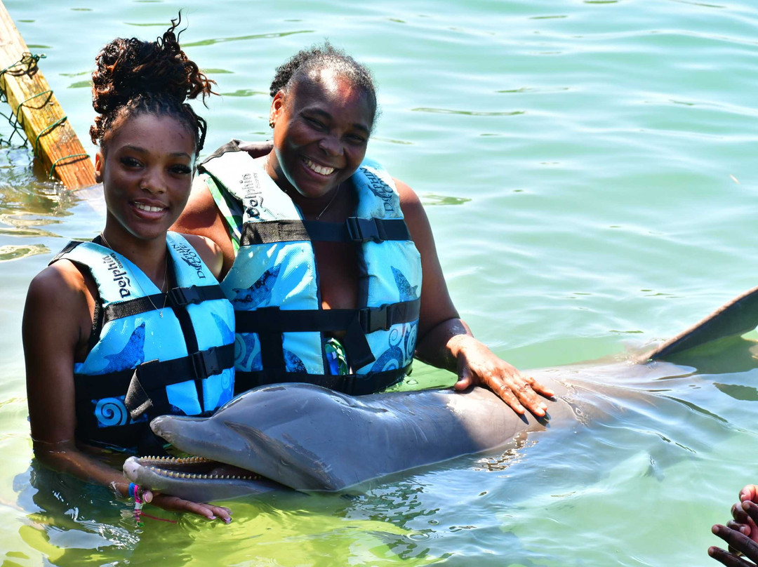 Dolphin Cove Montego Bay-Lucea必去景点