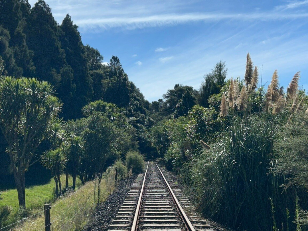 Awakeri Rail Adventures-法卡塔尼必去景点