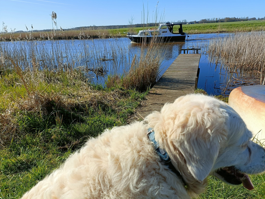 帕克霍特尔Tjaarda主图