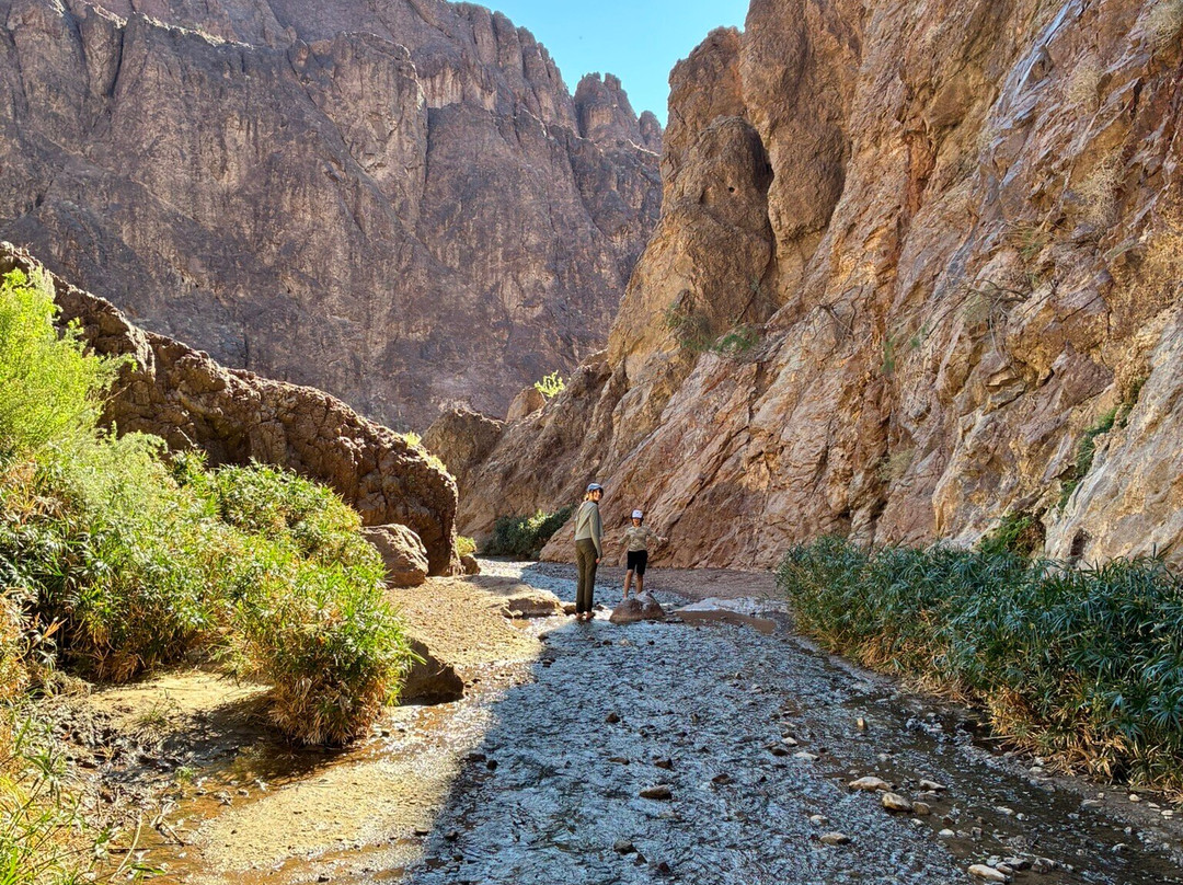 Desert River Outfitters-Bullhead City必去景点