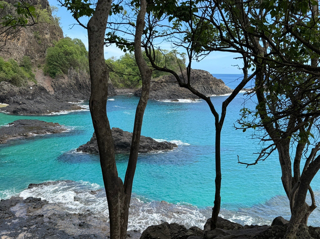 Primeirissima Turismo-费尔南多-迪诺罗尼亚群岛必去景点