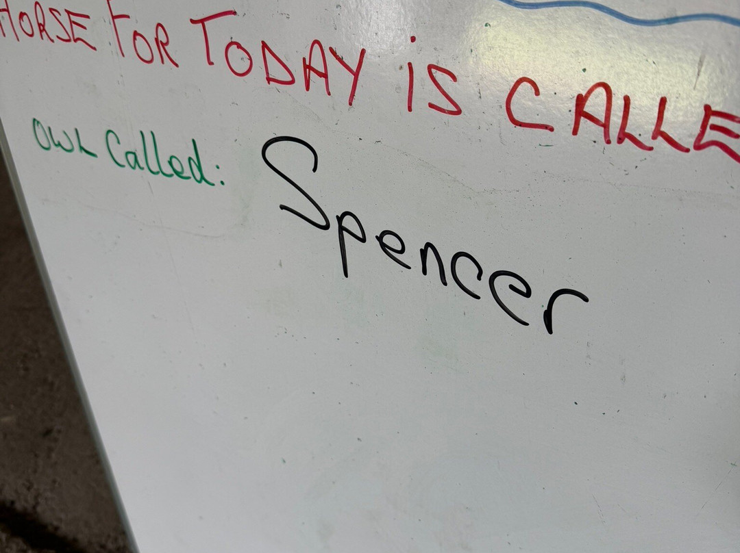 The Great Barn-Harmondsworth必去景点