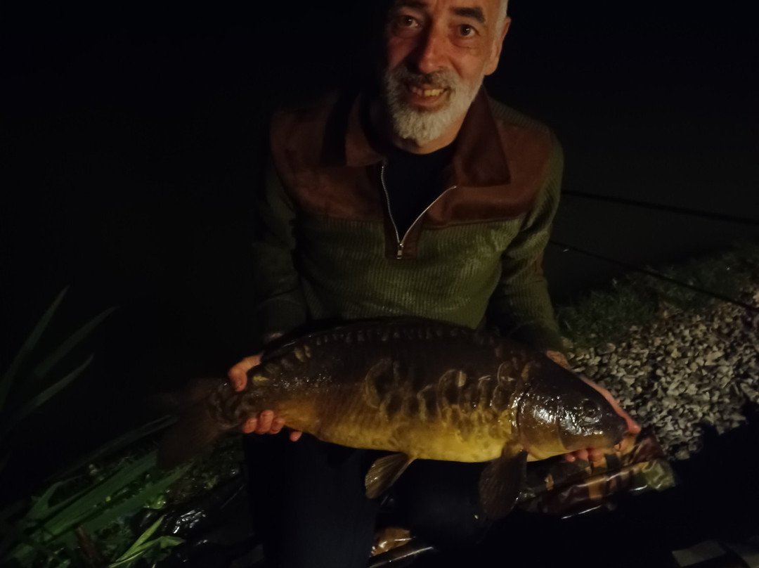 Shirkoak Farm Fishery and Bed & Breakfast-Woodchurch必去景点