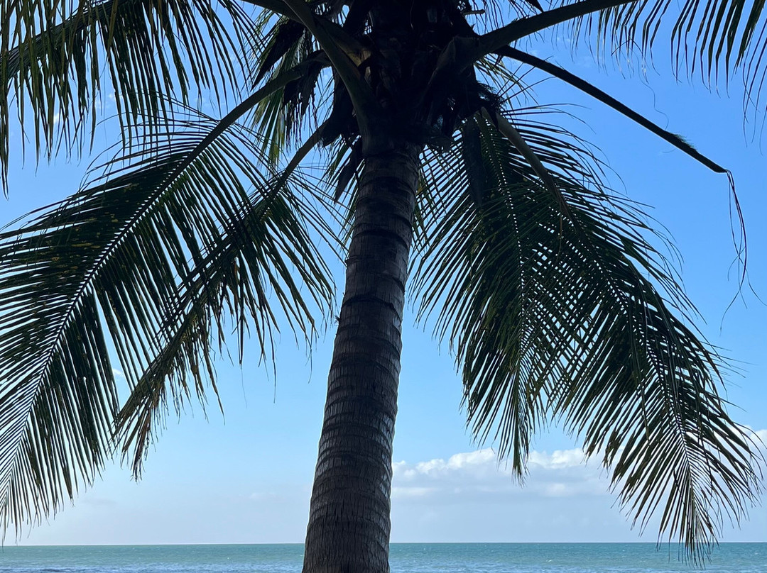 Plage Manbia-Sainte Rose必去景点