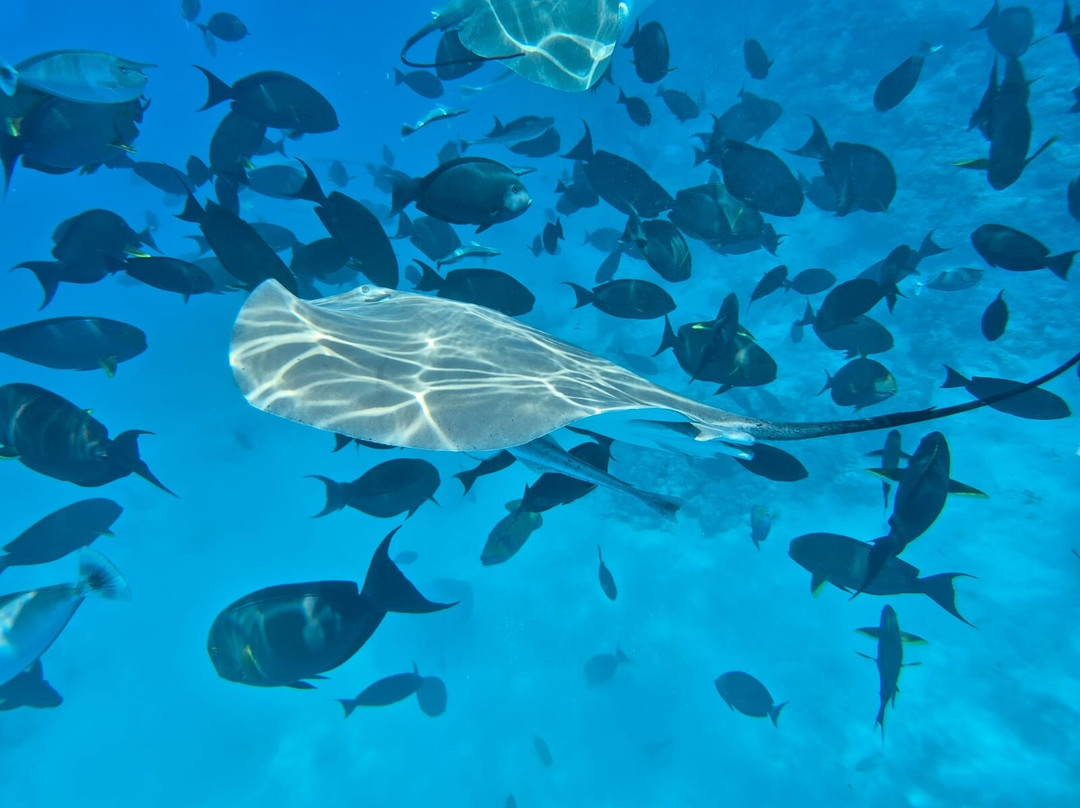 奥臻瑞泽铂丽富士全包式度假村主图