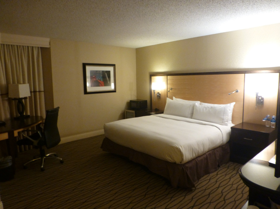 芝加哥奥黑尔罗斯蒙特希尔顿酒店主图