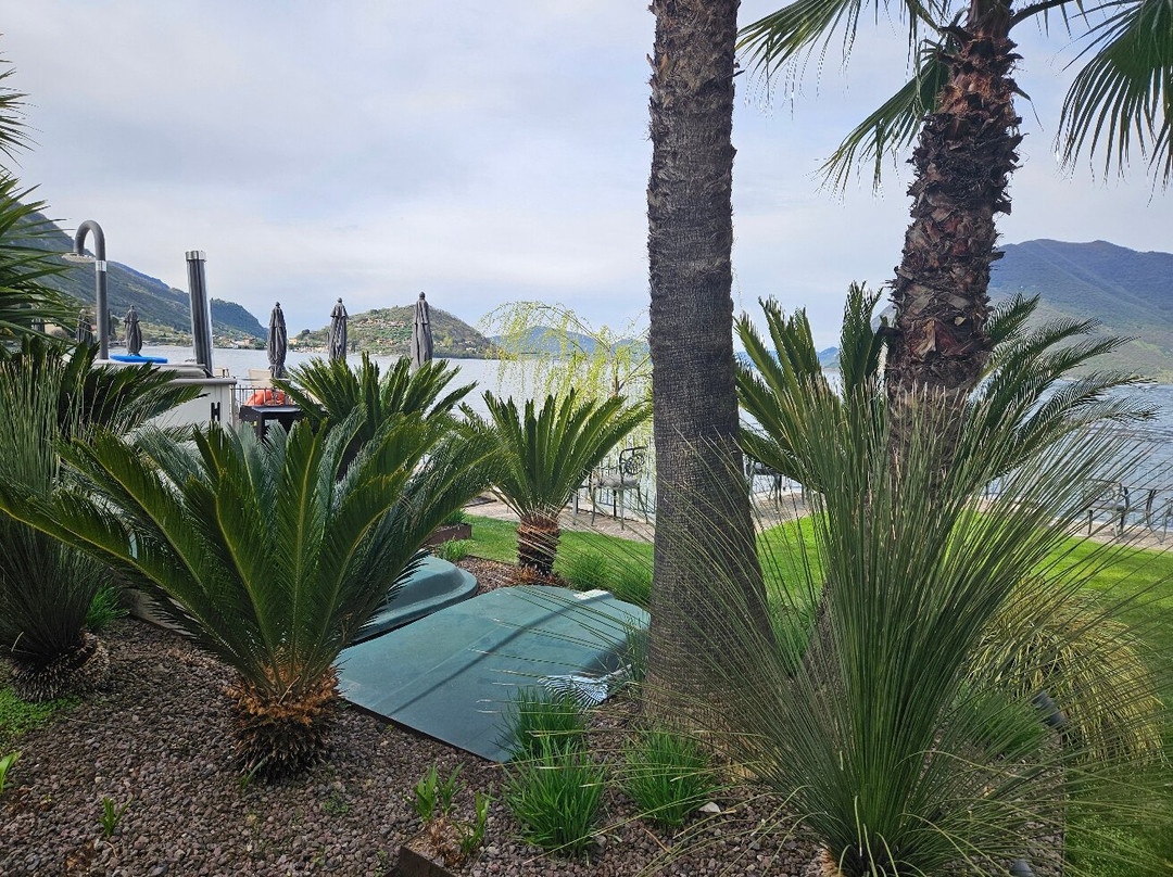 利瓦拉戈酒店主图