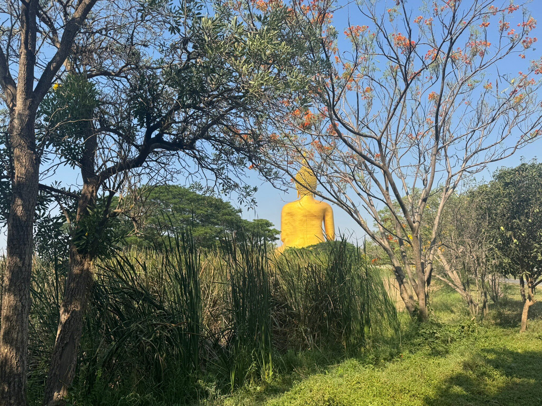 Wat Muang-红统必去景点