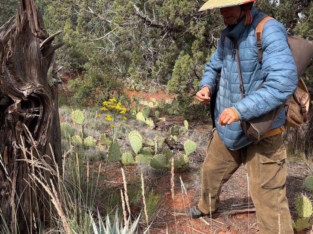 Vortex Yoga Hiking In Sedona-塞多纳必去景点