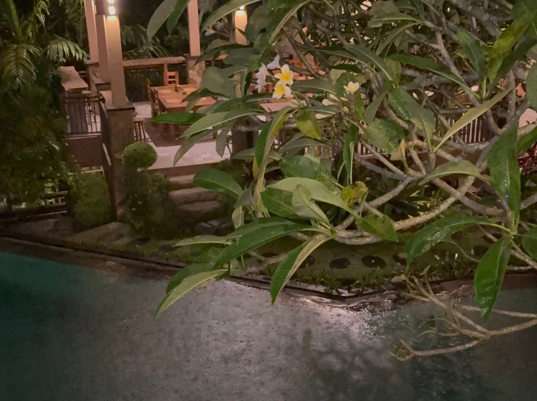 普拉玛纳别墅穆德鲁度假村主图