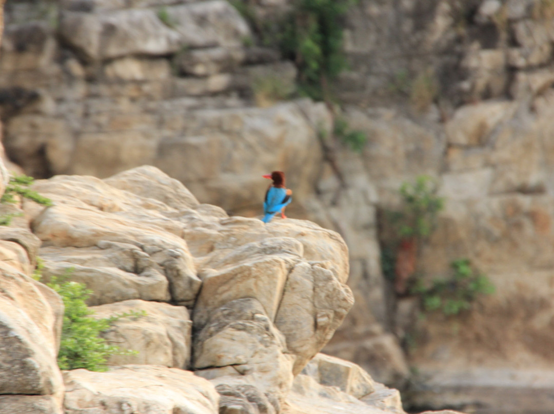 MPT Kalchuri Residency, Jabalpur主图