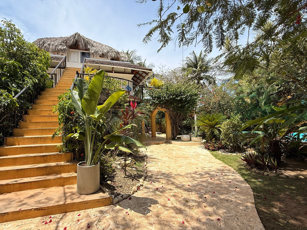 Surfbreak Cabarete B&B Surf And Yoga主图