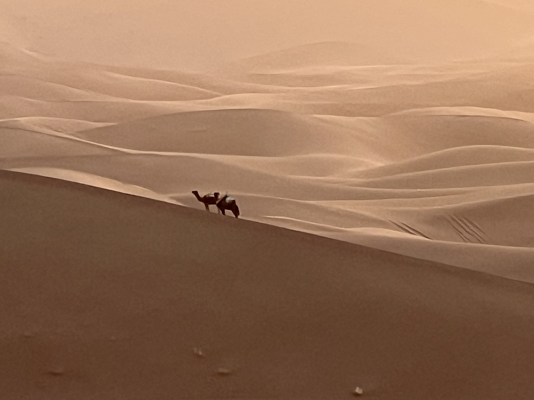 Sahara Wonders-迈哈米德必去景点