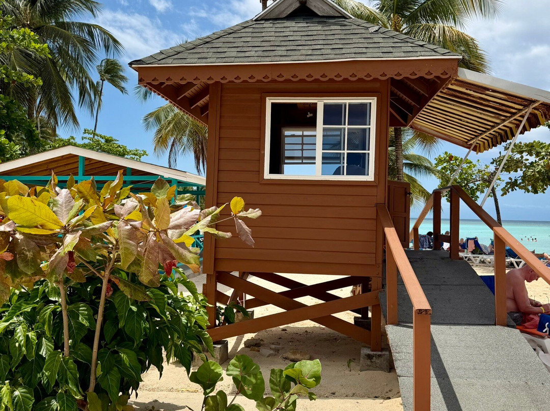 Pigeon Point Beach-多巴哥必去景点