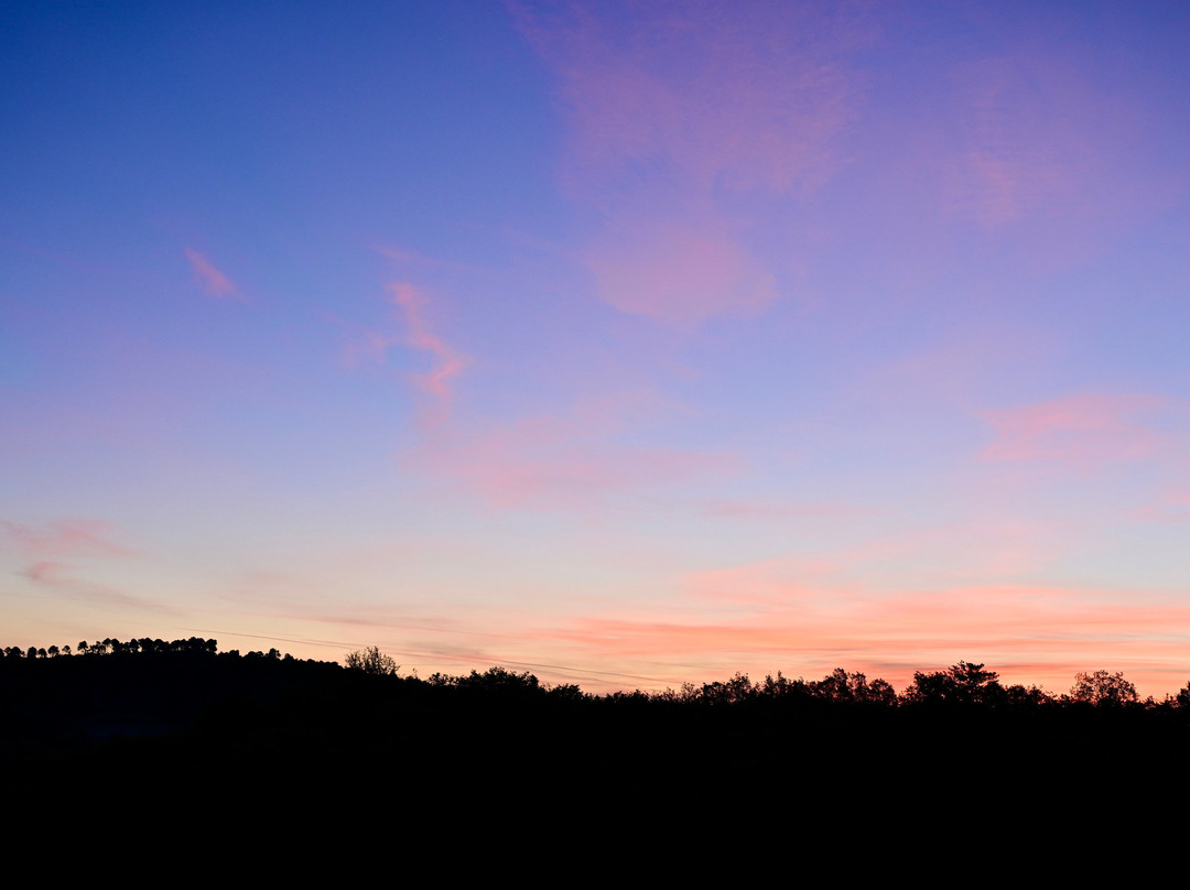 多梅因罗尼酒店主图