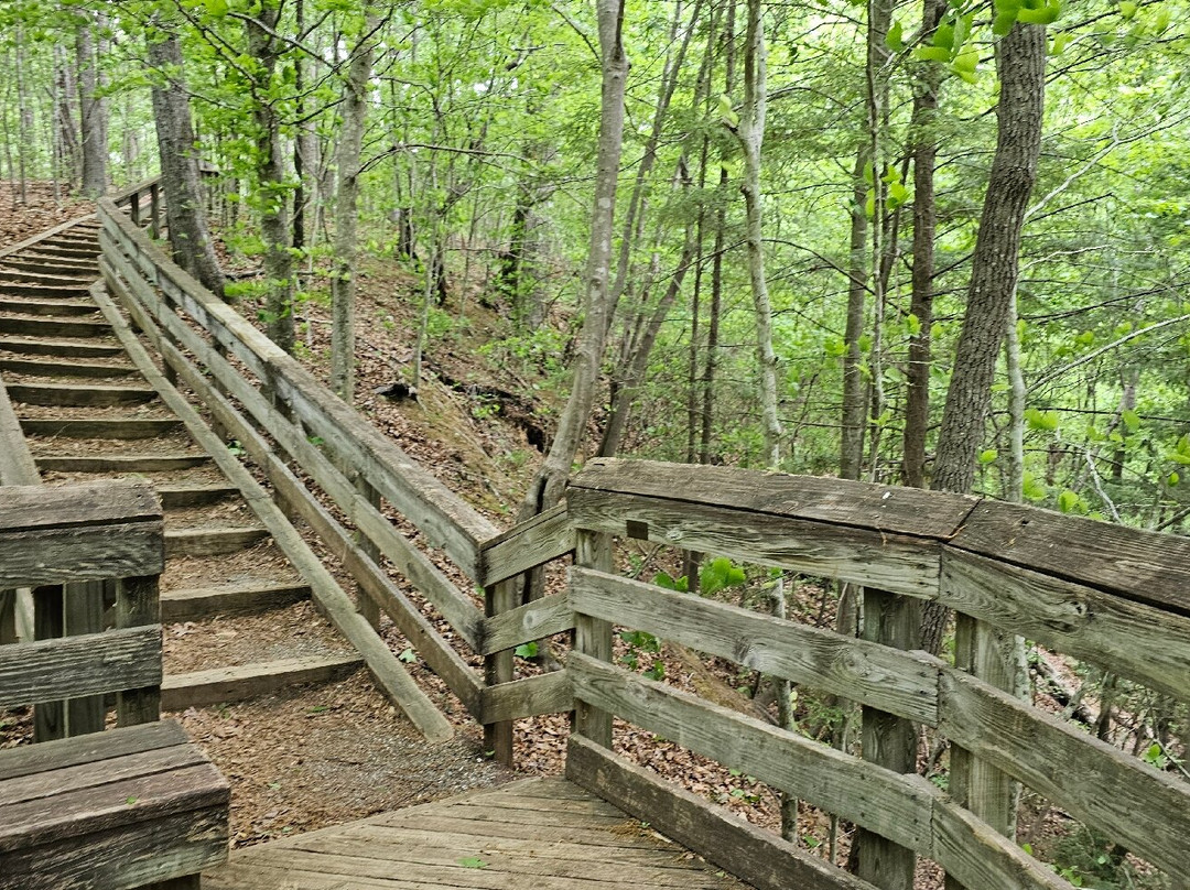Hemlock Bluffs Nature Preserve-卡瑞必去景点