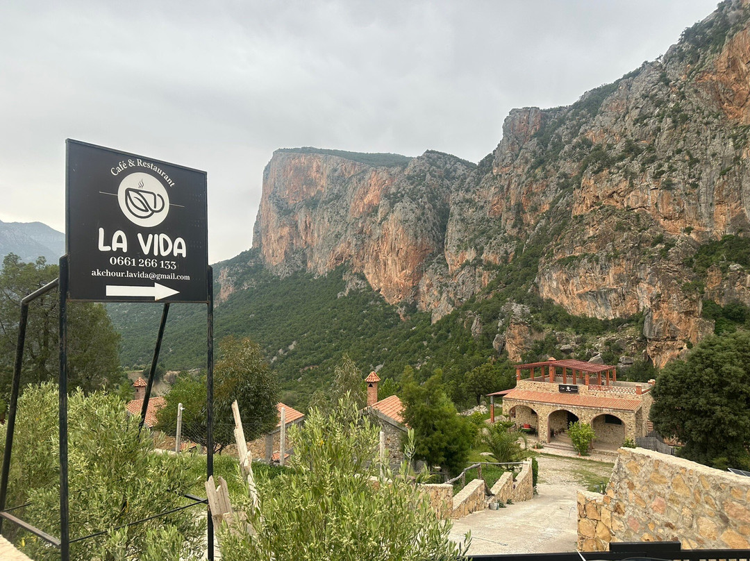 Café Et Restaurant La Vida