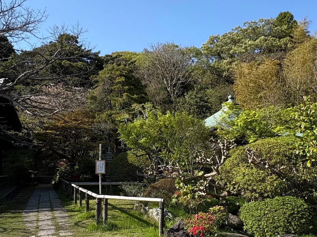 Joukoumyouji Temple-镰仓市必去景点