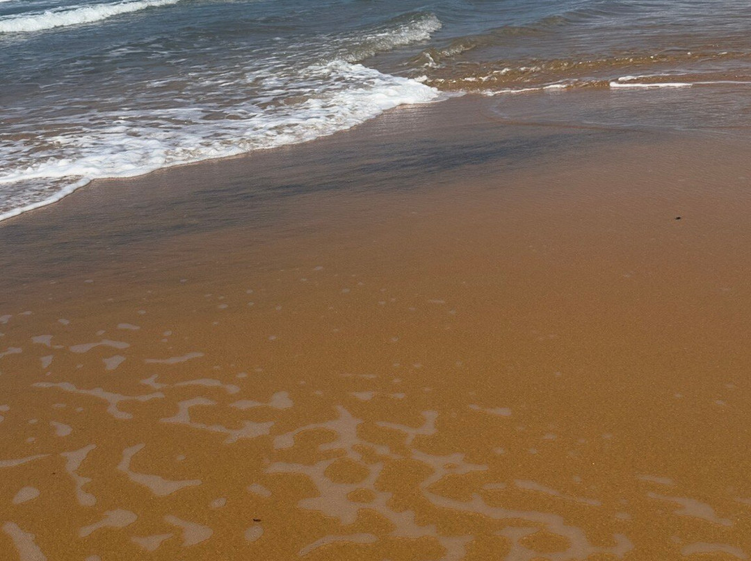 Praia do Espelho-特兰科苏必去景点