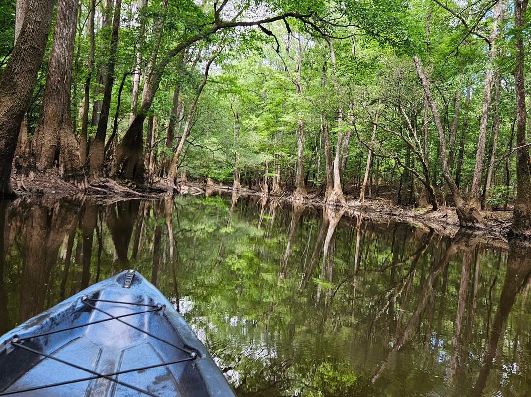 Carolina Outdoor Adventures-厄莫必去景点