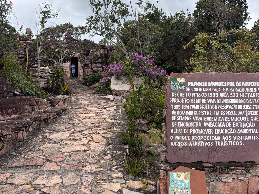 Vivo do Garimpo Museum-Mucuge必去景点