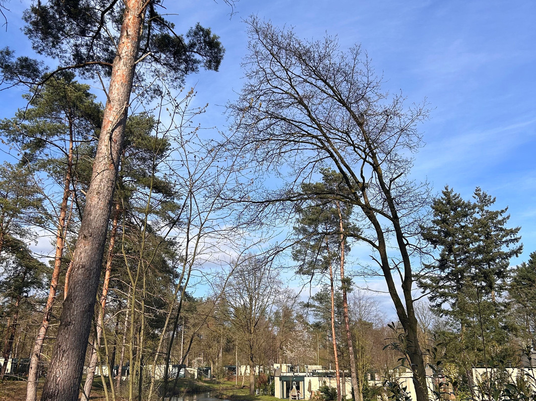 Center Parcs Het Heijderbos主图