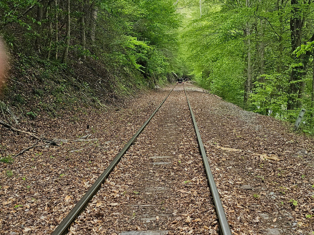 Rail Explorers: Elk River Division-Clay必去景点