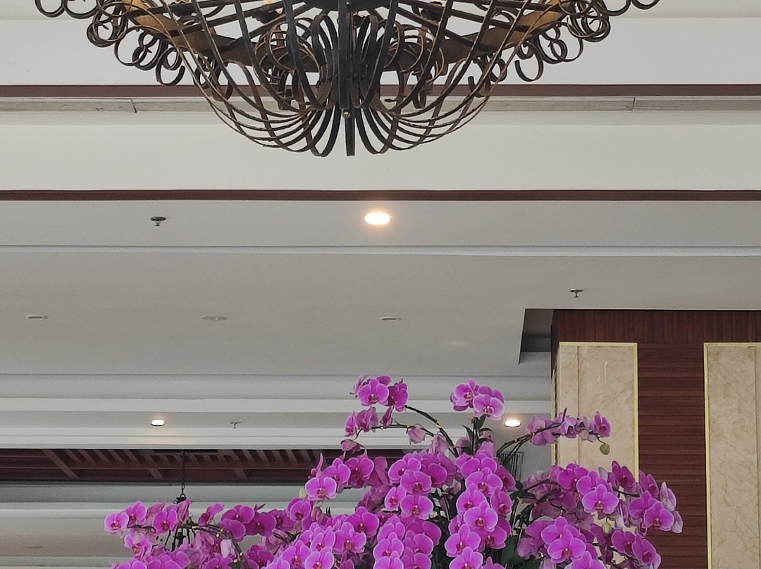DLG岘港酒店主图
