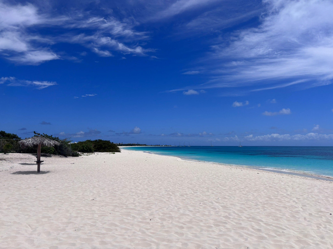 Hillside Tours Barbuda-Codrington必去景点