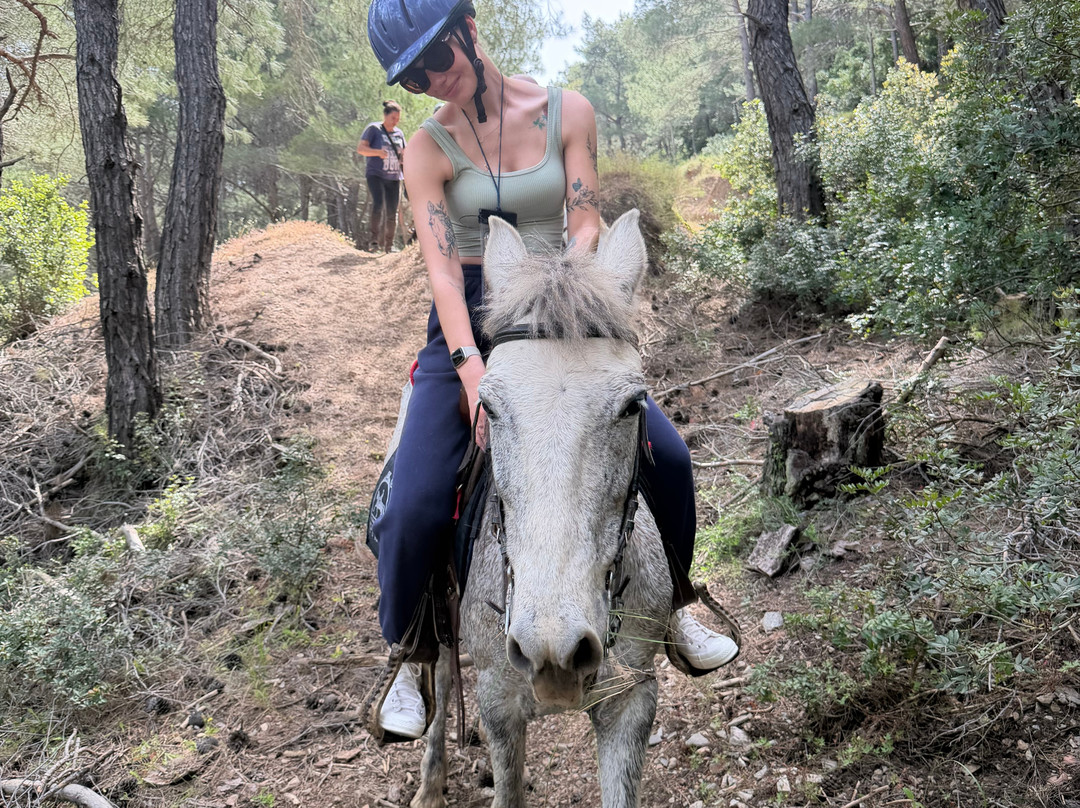Panouris Ranch-Samos Town必去景点