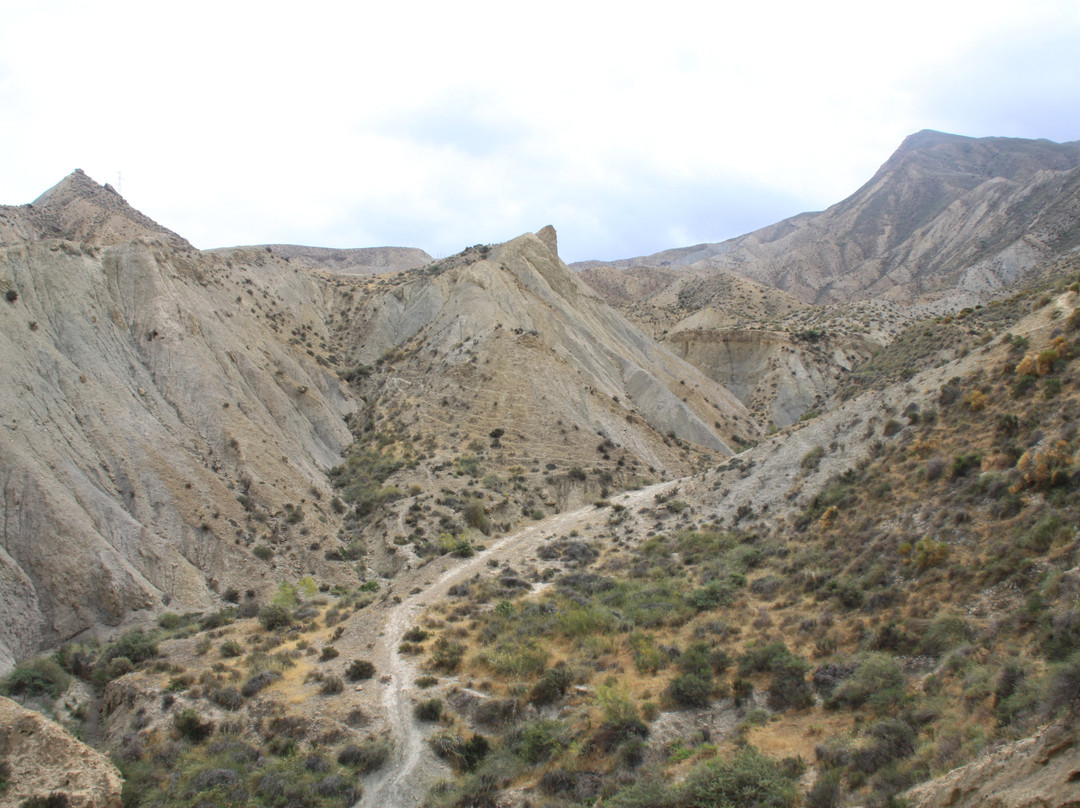 Desierto de Tabernas-阿尔梅里亚省必去景点