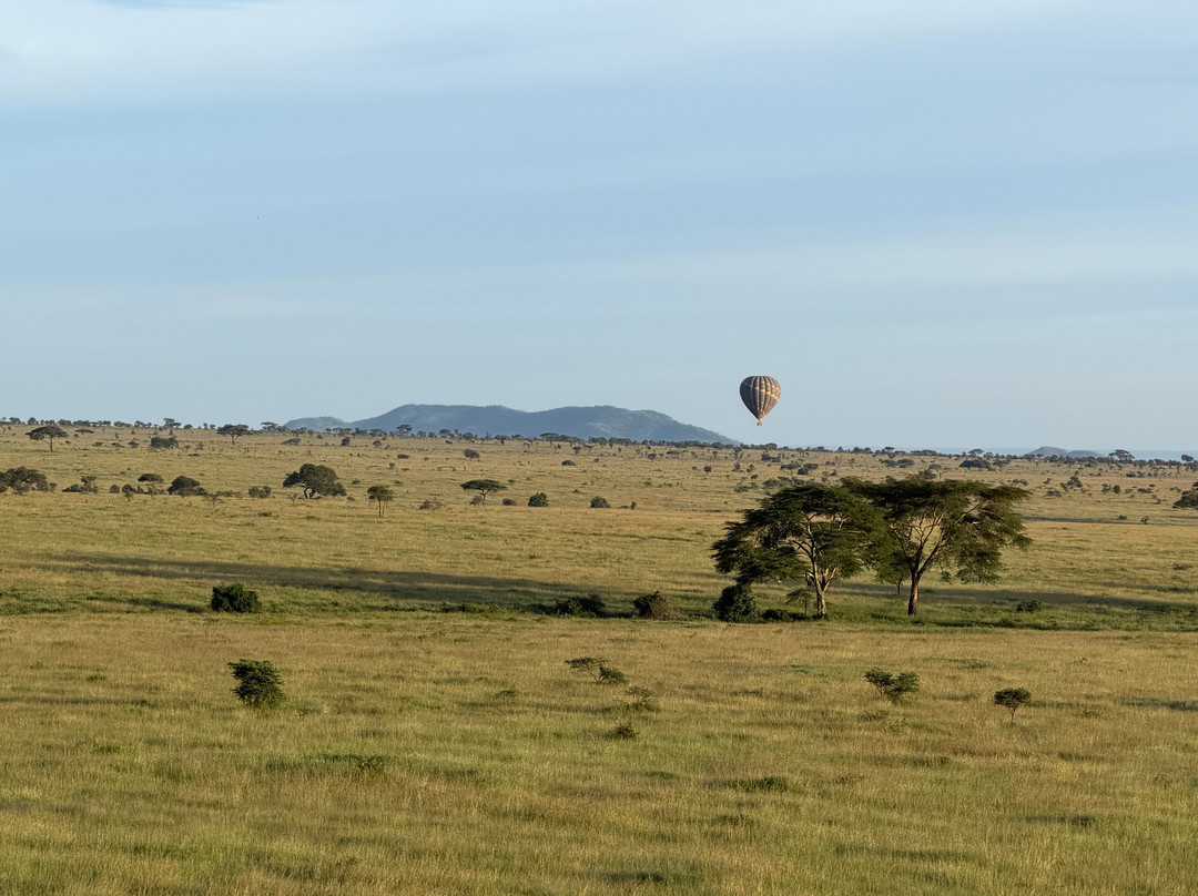 Nyssa Balloon Safaris-Seronera必去景点