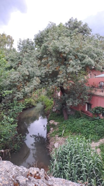 若拉莫利诺德尔蓬特伦达酒店-旅行者