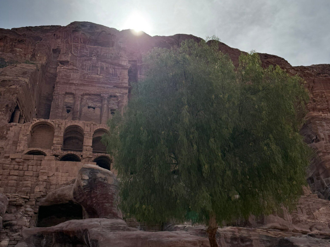 Petra Visitors Center-佩特拉必去景点